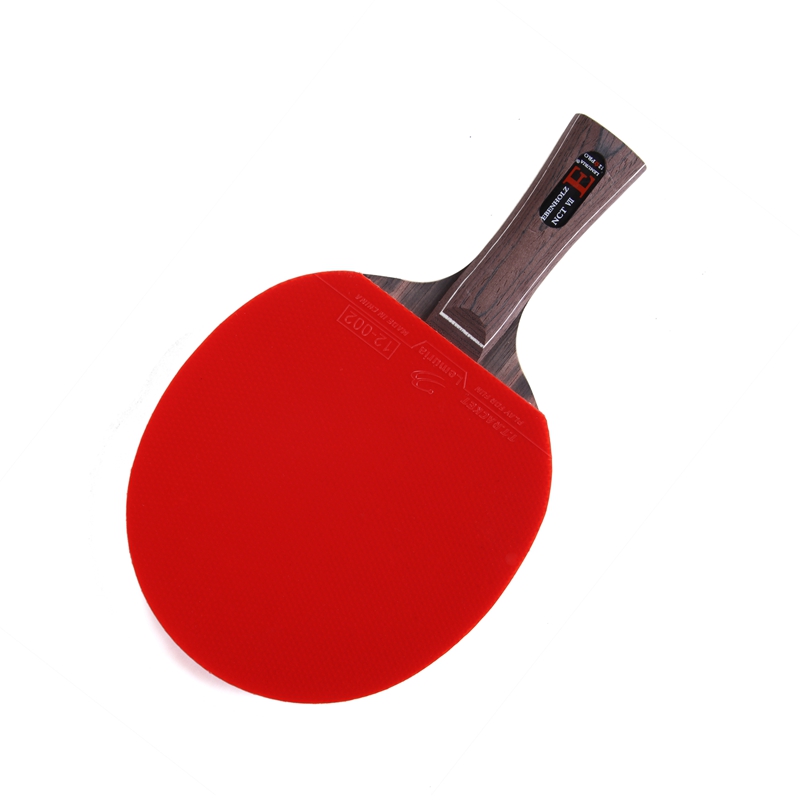 Table Tennis Forehand - Rakietka do tenisa stołowego Lemuria EBENHOLZ,